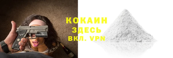 крисы Осинники