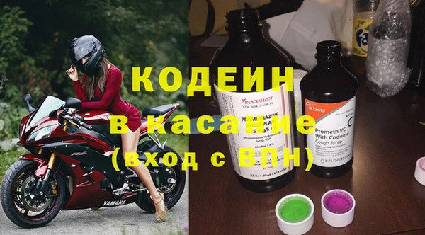 индика Волосово