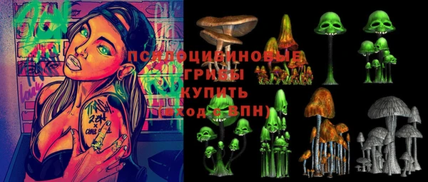 крисы Осинники