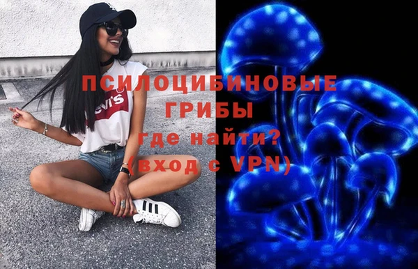 крисы Осинники